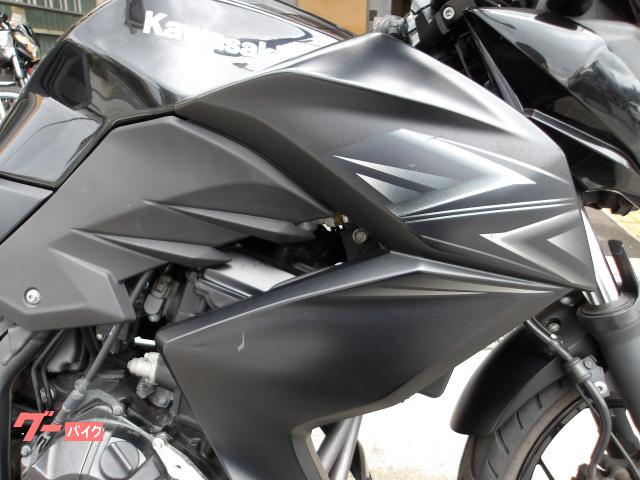 カワサキ Ｚ２５０　２０１６年モデル　ＡＢＳ　ＥＴＣ　純正スペアキー　インジェクション　水冷２気筒エンジン搭載 写真11