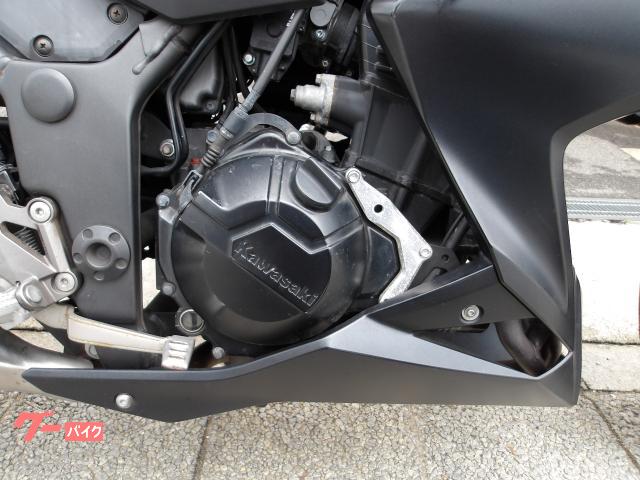 カワサキ Ｚ２５０　２０１６年モデル　ＡＢＳ　ＥＴＣ　純正スペアキー　インジェクション　水冷２気筒エンジン搭載 写真14