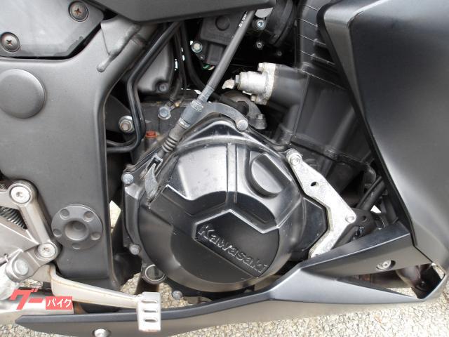 カワサキ Ｚ２５０　２０１６年モデル　ＡＢＳ　ＥＴＣ　純正スペアキー　インジェクション　水冷２気筒エンジン搭載 写真15
