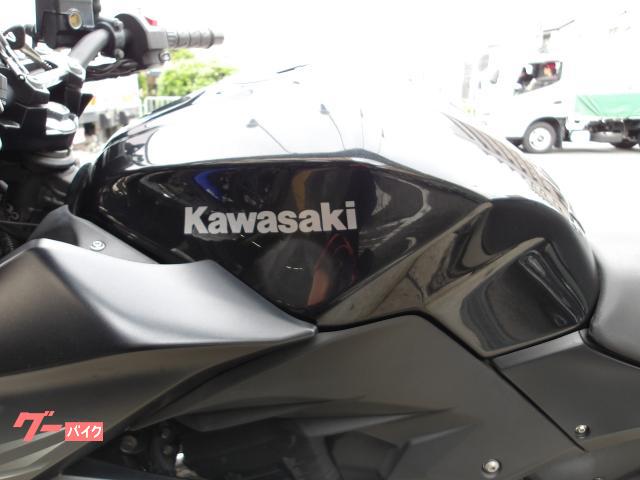 カワサキ Ｚ２５０　２０１６年モデル　ＡＢＳ　ＥＴＣ　純正スペアキー　インジェクション　水冷２気筒エンジン搭載 写真30