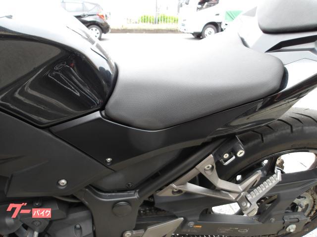 カワサキ Ｚ２５０　２０１６年モデル　ＡＢＳ　ＥＴＣ　純正スペアキー　インジェクション　水冷２気筒エンジン搭載 写真31