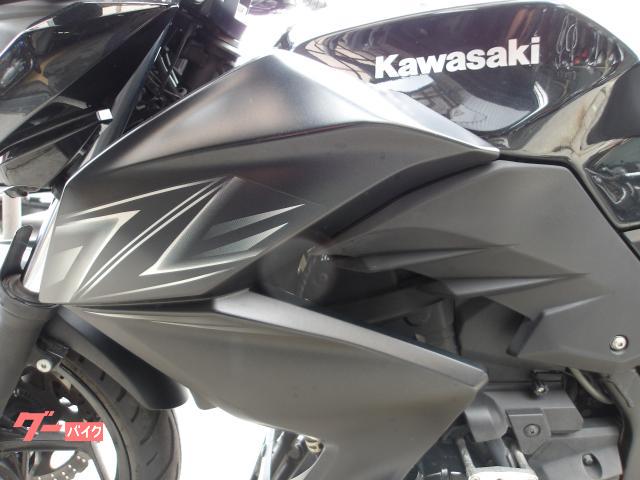 カワサキ Ｚ２５０　２０１６年モデル　ＡＢＳ　ＥＴＣ　純正スペアキー　インジェクション　水冷２気筒エンジン搭載 写真35