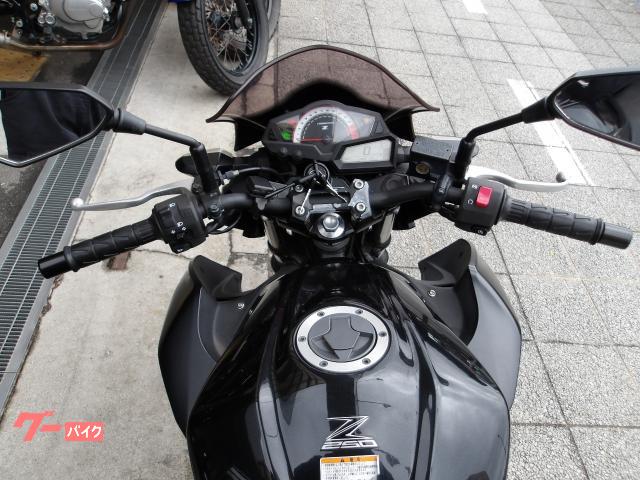 カワサキ Ｚ２５０　２０１６年モデル　ＡＢＳ　ＥＴＣ　純正スペアキー　インジェクション　水冷２気筒エンジン搭載 写真40