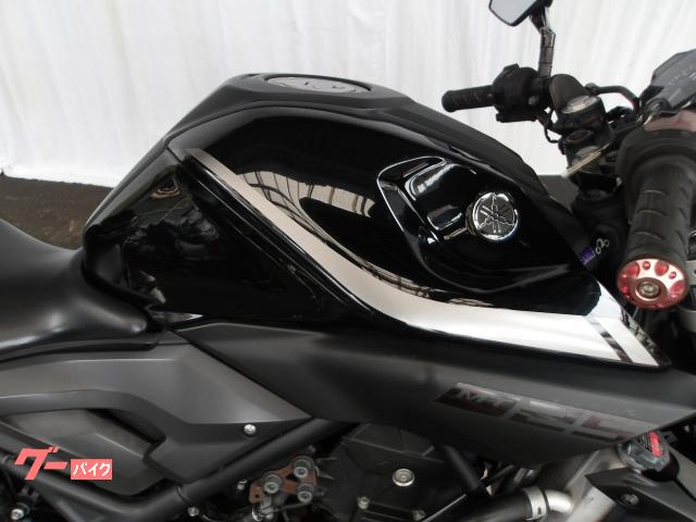ヤマハ MT−25 2018年モデル アクラポサイレンサーインジェクション 水冷2気筒エンジン搭載 写真6