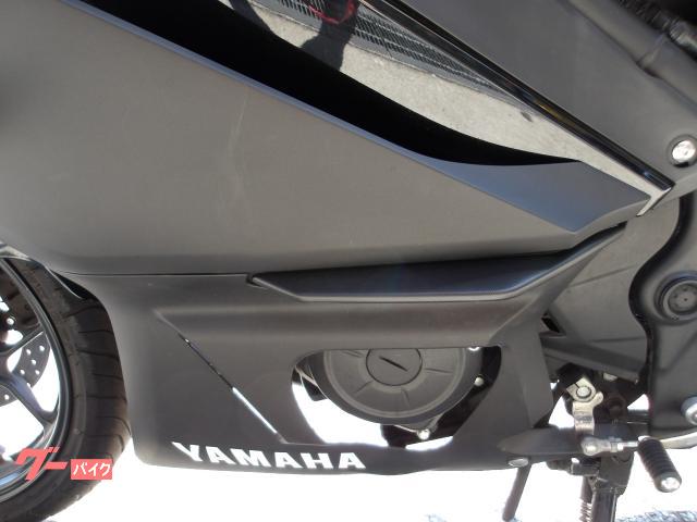 ヤマハ ＹＺＦ−Ｒ３　２０１９年モデル　ＡＢＳ　純正スペアキー　インジェクション　水冷２気筒エンジン搭載 写真40