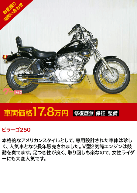 ビラーゴ250