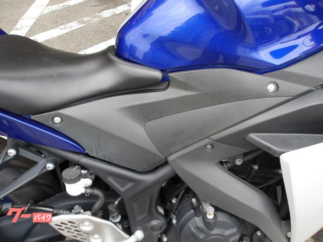 ヤマハ YZF−R25 2015年モデル ETC インジェクション 水冷2気筒エンジン 写真10