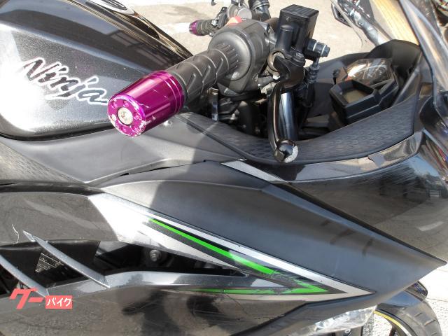 カワサキ Ｎｉｎｊａ　２５０　２０１６年モデル　インジェクション　水冷２気筒エンジン搭載 写真12