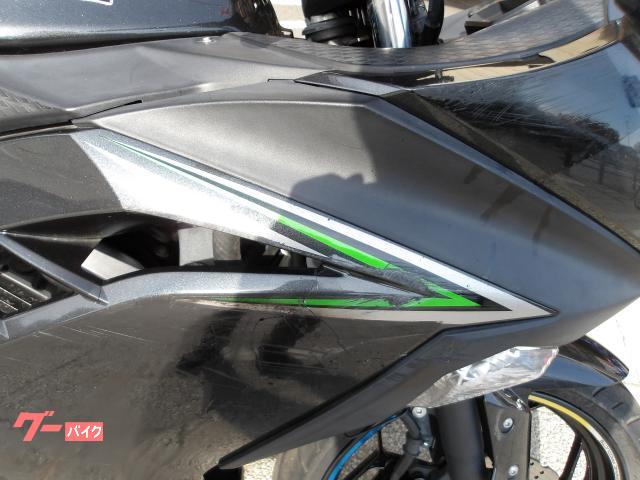 カワサキ Ｎｉｎｊａ　２５０　２０１６年モデル　インジェクション　水冷２気筒エンジン搭載 写真13