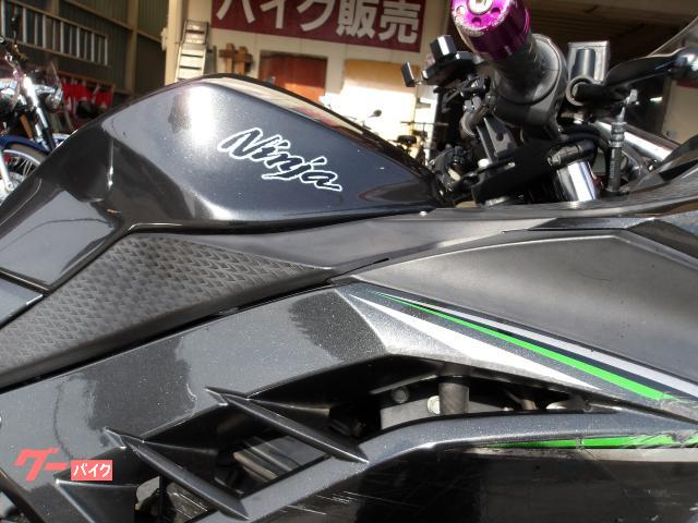 カワサキ Ｎｉｎｊａ　２５０　２０１６年モデル　インジェクション　水冷２気筒エンジン搭載 写真15