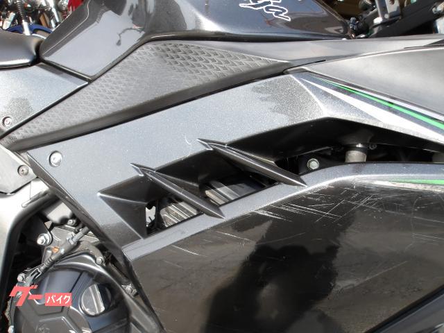 カワサキ Ｎｉｎｊａ　２５０　２０１６年モデル　インジェクション　水冷２気筒エンジン搭載 写真16