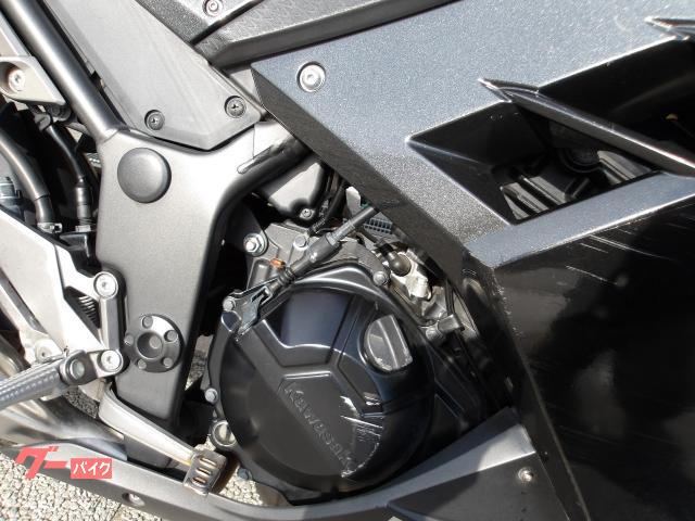 カワサキ Ｎｉｎｊａ　２５０　２０１６年モデル　インジェクション　水冷２気筒エンジン搭載 写真18