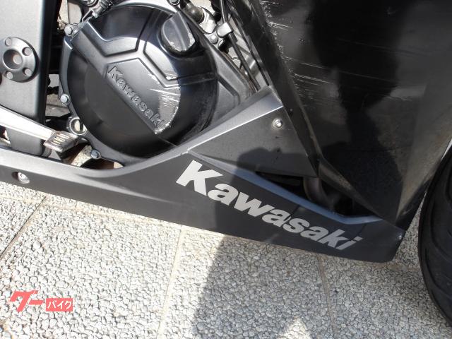 カワサキ Ｎｉｎｊａ　２５０　２０１６年モデル　インジェクション　水冷２気筒エンジン搭載 写真19