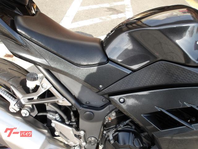 カワサキ Ｎｉｎｊａ　２５０　２０１６年モデル　インジェクション　水冷２気筒エンジン搭載 写真20