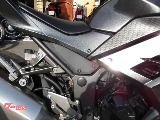 カワサキ Ｎｉｎｊａ　２５０　２０１６年モデル　インジェクション　水冷２気筒エンジン搭載 写真21