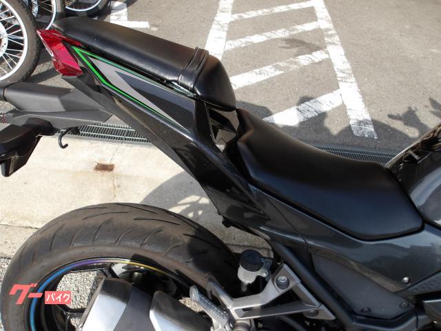カワサキ Ｎｉｎｊａ　２５０　２０１６年モデル　インジェクション　水冷２気筒エンジン搭載 写真23