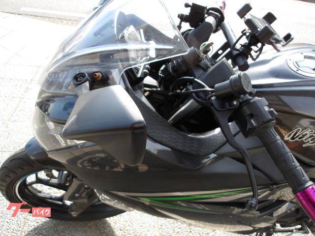 カワサキ Ｎｉｎｊａ　２５０　２０１６年モデル　インジェクション　水冷２気筒エンジン搭載 写真30