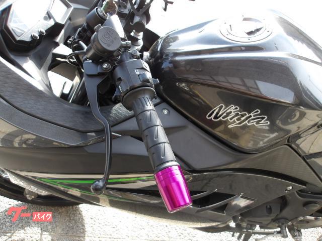 カワサキ Ｎｉｎｊａ　２５０　２０１６年モデル　インジェクション　水冷２気筒エンジン搭載 写真31