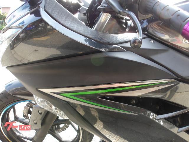 カワサキ Ｎｉｎｊａ　２５０　２０１６年モデル　インジェクション　水冷２気筒エンジン搭載 写真32