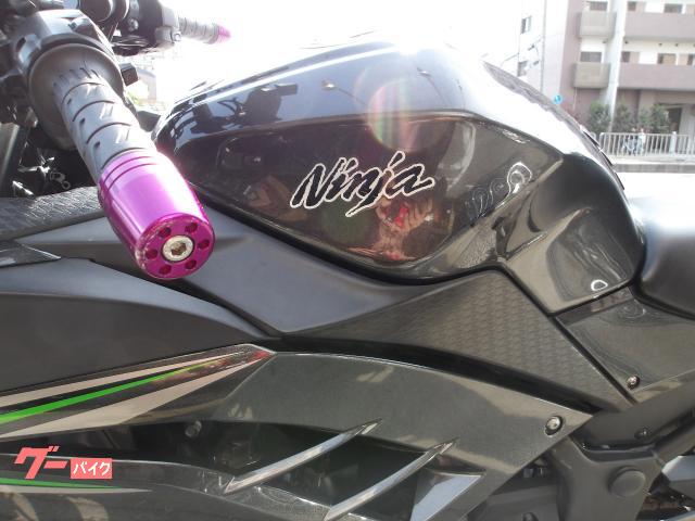 カワサキ Ｎｉｎｊａ　２５０　２０１６年モデル　インジェクション　水冷２気筒エンジン搭載 写真33
