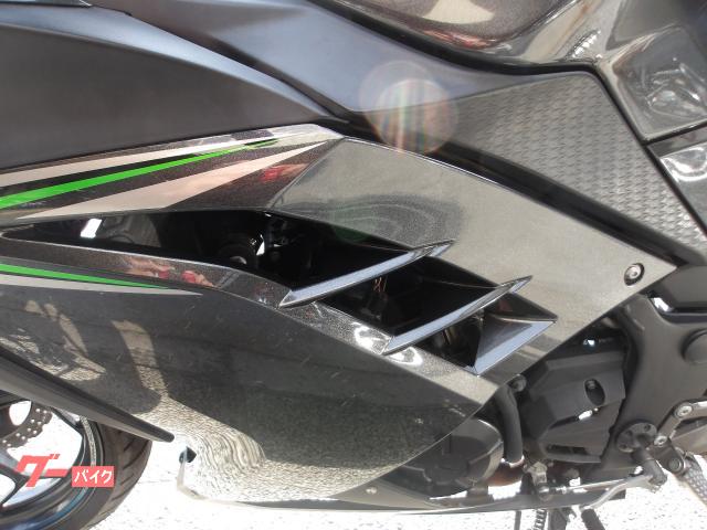 カワサキ Ｎｉｎｊａ　２５０　２０１６年モデル　インジェクション　水冷２気筒エンジン搭載 写真34