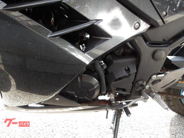 カワサキ Ｎｉｎｊａ　２５０　２０１６年モデル　インジェクション　水冷２気筒エンジン搭載 写真35