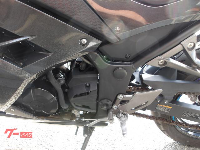 カワサキ Ｎｉｎｊａ　２５０　２０１６年モデル　インジェクション　水冷２気筒エンジン搭載 写真38