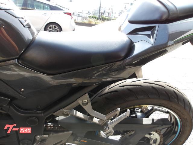 カワサキ Ｎｉｎｊａ　２５０　２０１６年モデル　インジェクション　水冷２気筒エンジン搭載 写真39