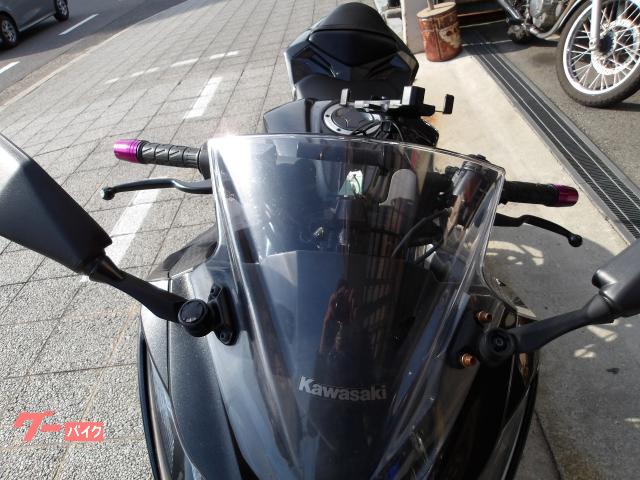 カワサキ Ｎｉｎｊａ　２５０　２０１６年モデル　インジェクション　水冷２気筒エンジン搭載 写真46