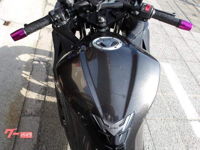 カワサキ Ｎｉｎｊａ　２５０　２０１６年モデル　インジェクション　水冷２気筒エンジン搭載 写真51