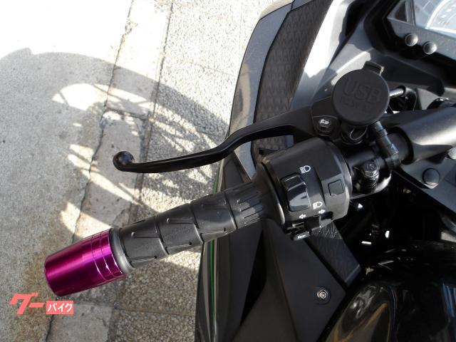 カワサキ Ｎｉｎｊａ　２５０　２０１６年モデル　インジェクション　水冷２気筒エンジン搭載 写真53