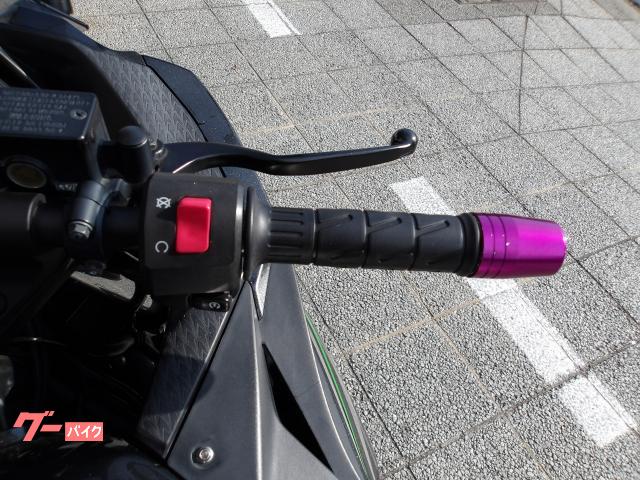 カワサキ Ｎｉｎｊａ　２５０　２０１６年モデル　インジェクション　水冷２気筒エンジン搭載 写真54