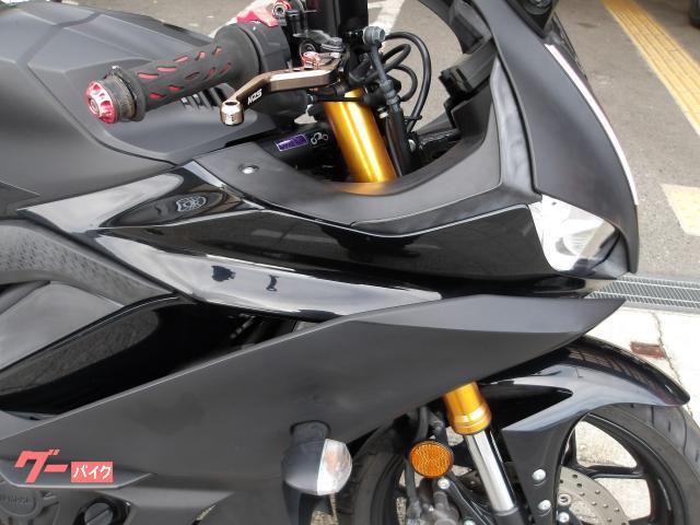 ヤマハ ＹＺＦ−Ｒ２５　２０１９年モデル　インジェクション　水冷２気筒エンジン搭載 写真12
