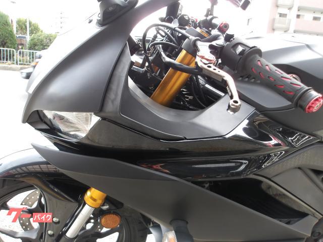 ヤマハ ＹＺＦ−Ｒ２５　２０１９年モデル　インジェクション　水冷２気筒エンジン搭載 写真36