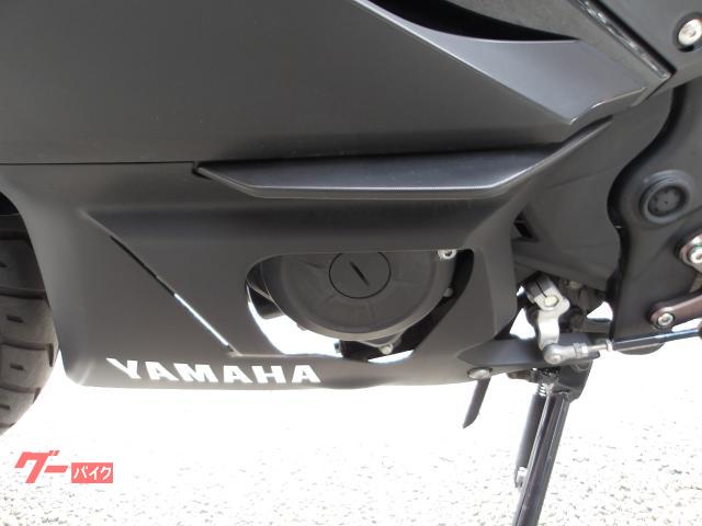 ヤマハ ＹＺＦ−Ｒ２５　２０１９年モデル　インジェクション　水冷２気筒エンジン搭載 写真40
