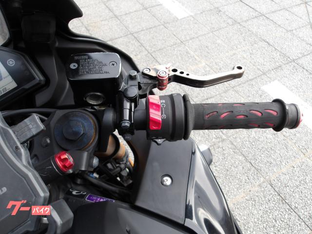 ヤマハ ＹＺＦ−Ｒ２５　２０１９年モデル　インジェクション　水冷２気筒エンジン搭載 写真47