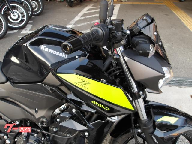 カワサキ Z250 2022年モデル ABS インジェクション 水冷2気筒エンジン搭載 写真6