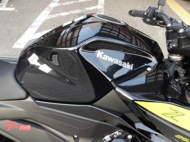 カワサキ Z250 2022年モデル ABS インジェクション 水冷2気筒エンジン搭載 写真7