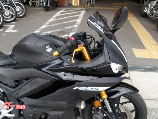 ヤマハ ＹＺＦ−Ｒ２５　２０１９年モデル　インジェクション　水冷２気筒エンジン搭載 写真6