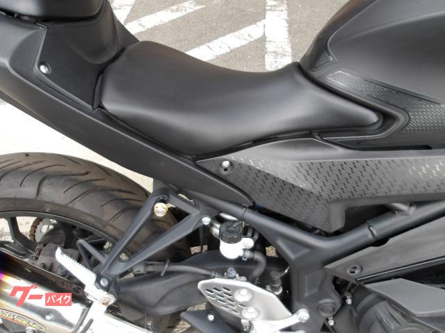 ヤマハ ＹＺＦ−Ｒ２５　２０１９年モデル　インジェクション　水冷２気筒エンジン搭載 写真10