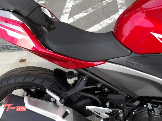 カワサキ Ninja 250 2020年モデル ABS インジェクション 水冷2気筒エンジン搭載 写真8