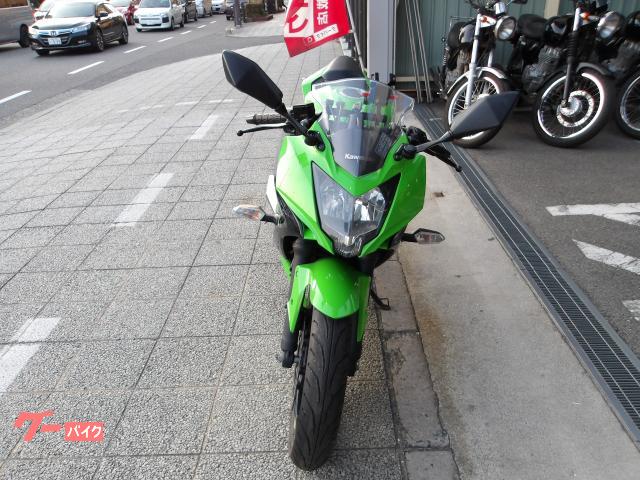 カワサキ Ｎｉｎｊａ　２５０ＳＬ　２０１５年モデル　インジェクション　水冷単気筒エンジン 写真2