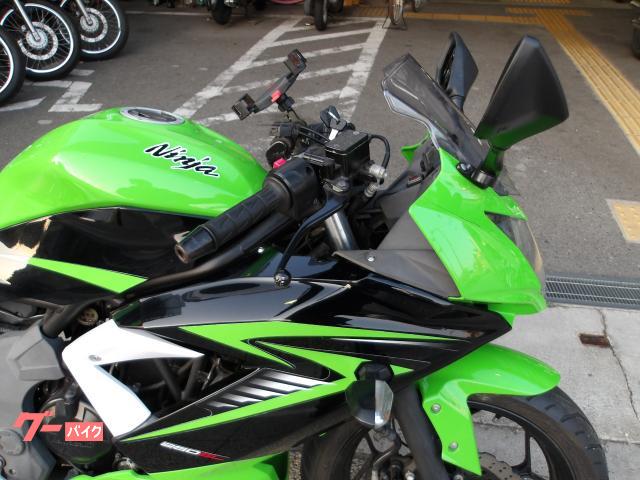 カワサキ Ｎｉｎｊａ　２５０ＳＬ　２０１５年モデル　インジェクション　水冷単気筒エンジン 写真6