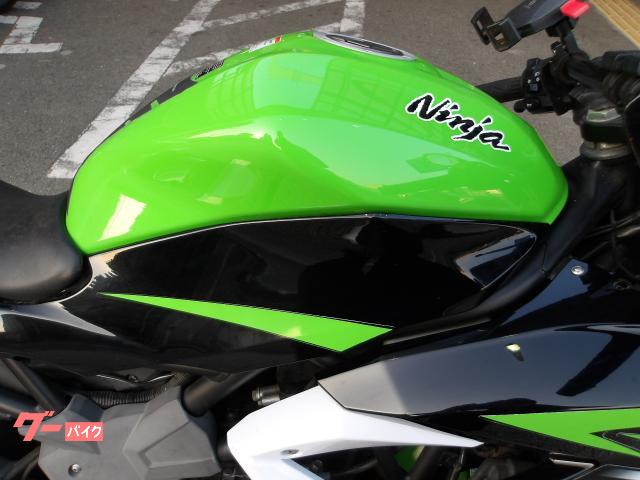 カワサキ Ｎｉｎｊａ　２５０ＳＬ　２０１５年モデル　インジェクション　水冷単気筒エンジン 写真8