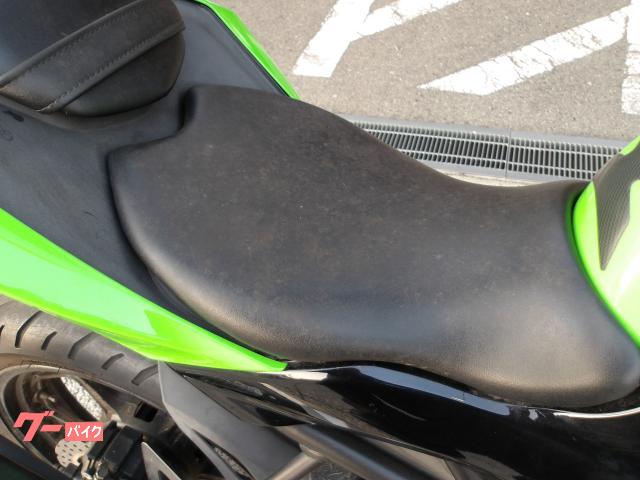 カワサキ Ｎｉｎｊａ　２５０ＳＬ　２０１５年モデル　インジェクション　水冷単気筒エンジン 写真10