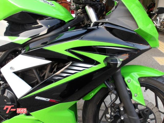 カワサキ Ｎｉｎｊａ　２５０ＳＬ　２０１５年モデル　インジェクション　水冷単気筒エンジン 写真11