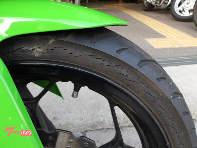 カワサキ Ｎｉｎｊａ　２５０ＳＬ　２０１５年モデル　インジェクション　水冷単気筒エンジン 写真13