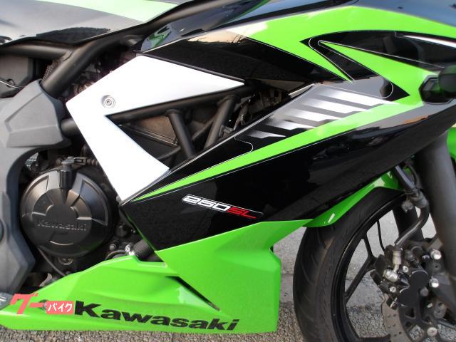 カワサキ Ｎｉｎｊａ　２５０ＳＬ　２０１５年モデル　インジェクション　水冷単気筒エンジン 写真14