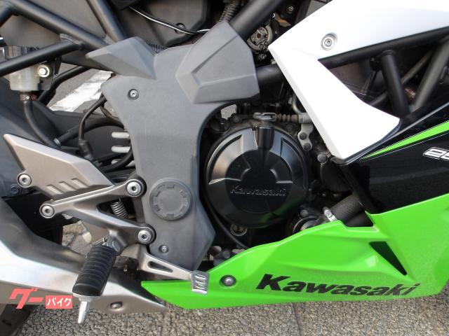 カワサキ Ｎｉｎｊａ　２５０ＳＬ　２０１５年モデル　インジェクション　水冷単気筒エンジン 写真15