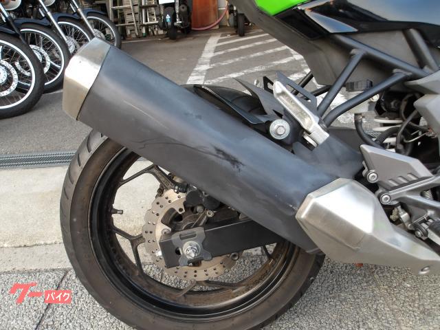 カワサキ Ｎｉｎｊａ　２５０ＳＬ　２０１５年モデル　インジェクション　水冷単気筒エンジン 写真16